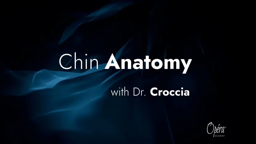 chin anatomy cover