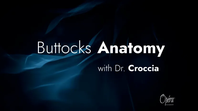 buttocks anatomy cover