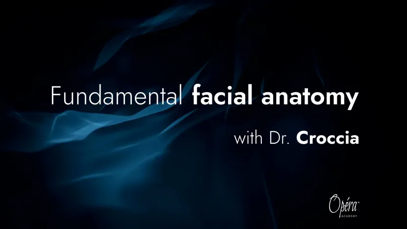 fundamental facial anatomy