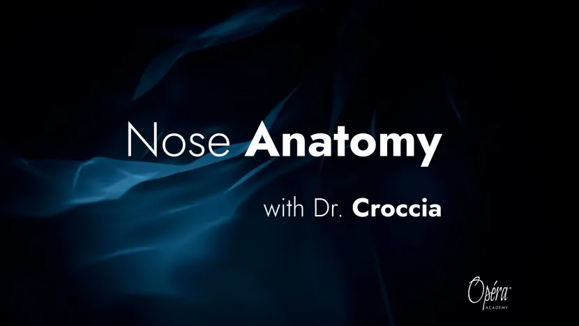 nose anatomy