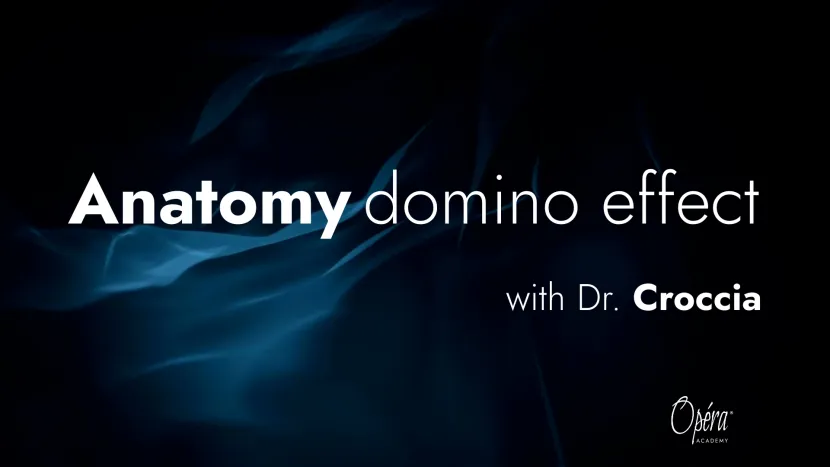 opera-academy_-anatomy_effetto-domino_croccia.jpg