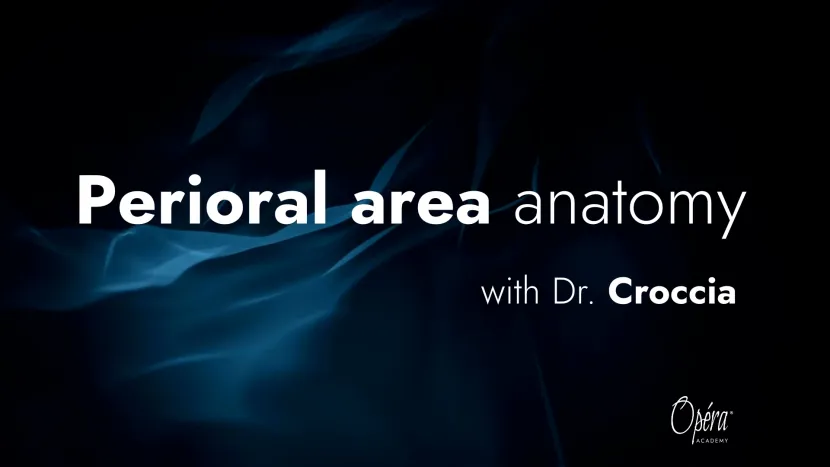 opera-academy_-perioral-area-anatomy_croccia.jpg