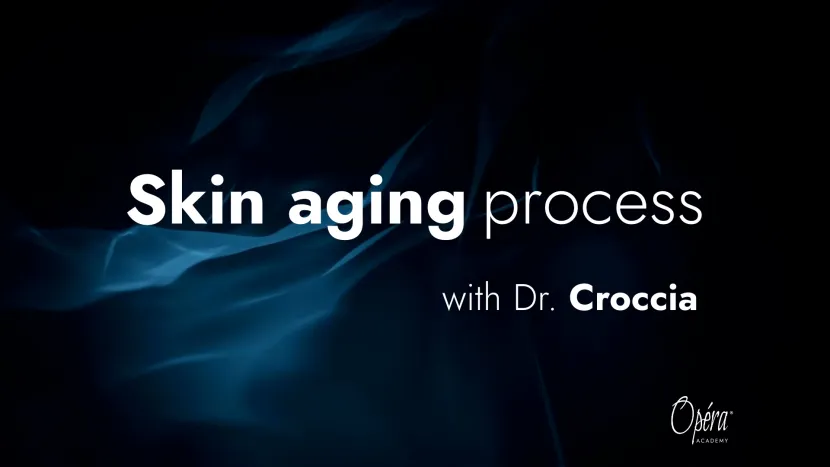 skin aging process